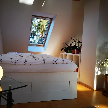 Comfortable In Cozy House